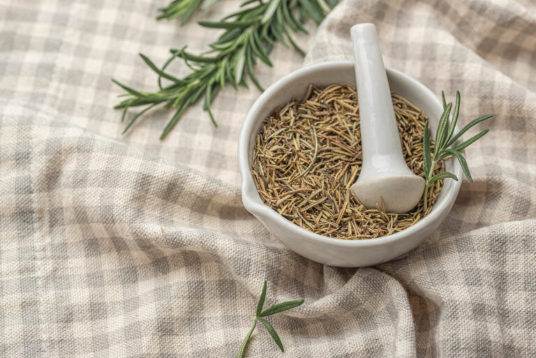 The Magic of Fennel Seeds benefits: A Versatile Spice for Health and Wellness