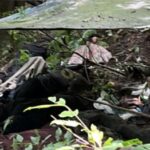 Three terrorists killed in Pahalgam massacre under ‘Operation Mahadev’