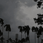 India Sees Normal Monsoon, But Rainfall Uneven Across States